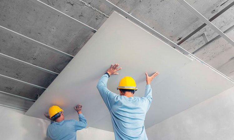 servicios profesionales